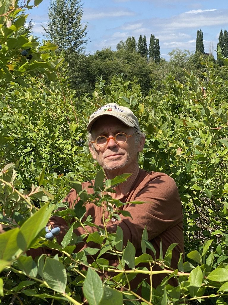 Bobby Jones smiling among blueberry bushes on a summer day